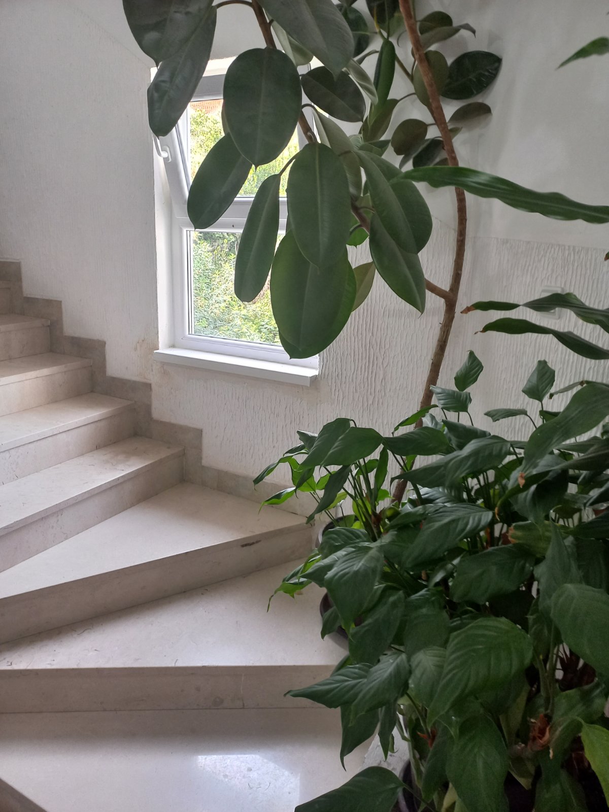 Apartman Dubovica Lux 75m2 - 9