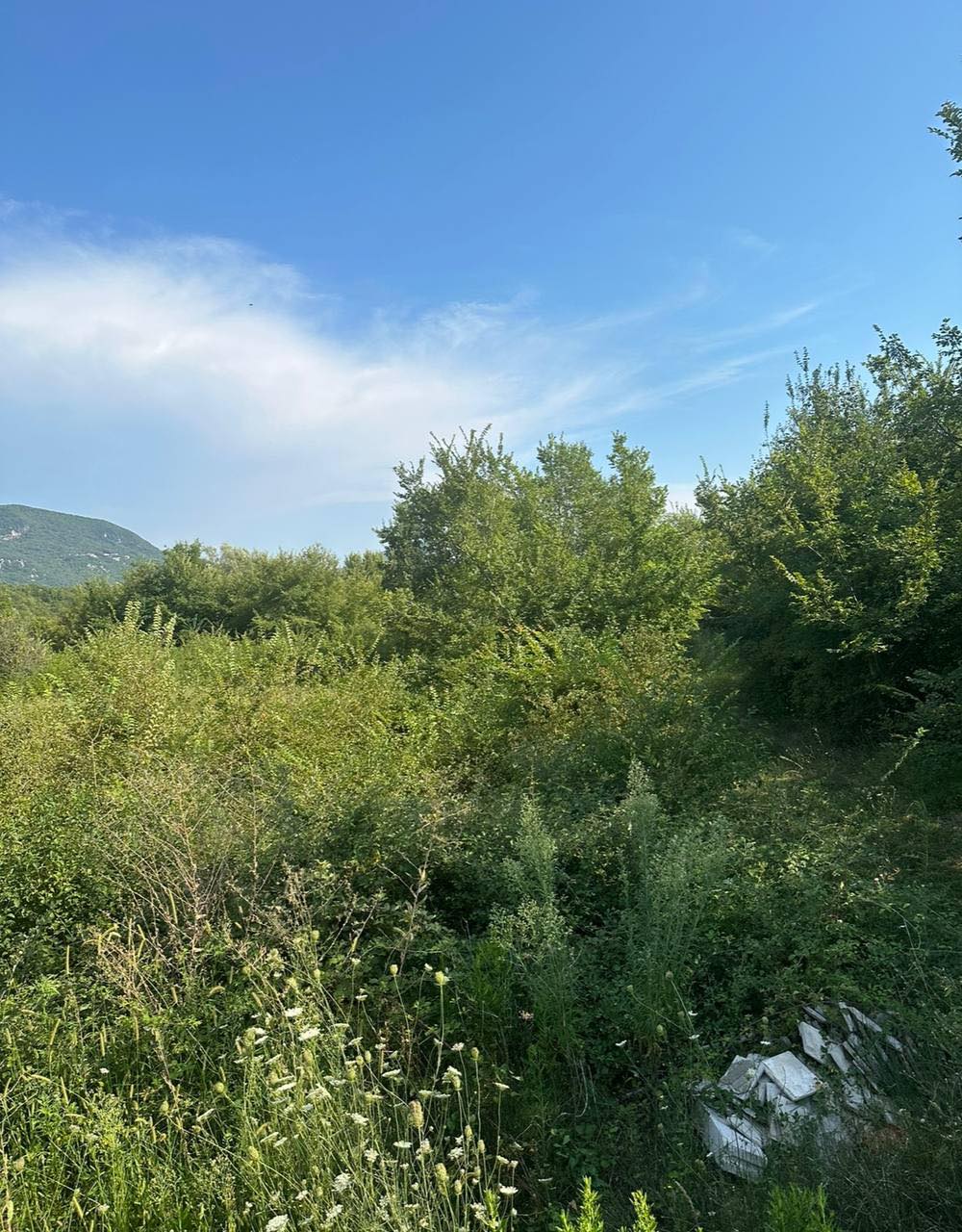 Урбанизированный участок Главати 1100м2