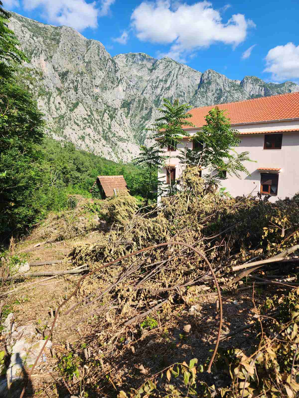 Plot Orahovac 503m2 - 6