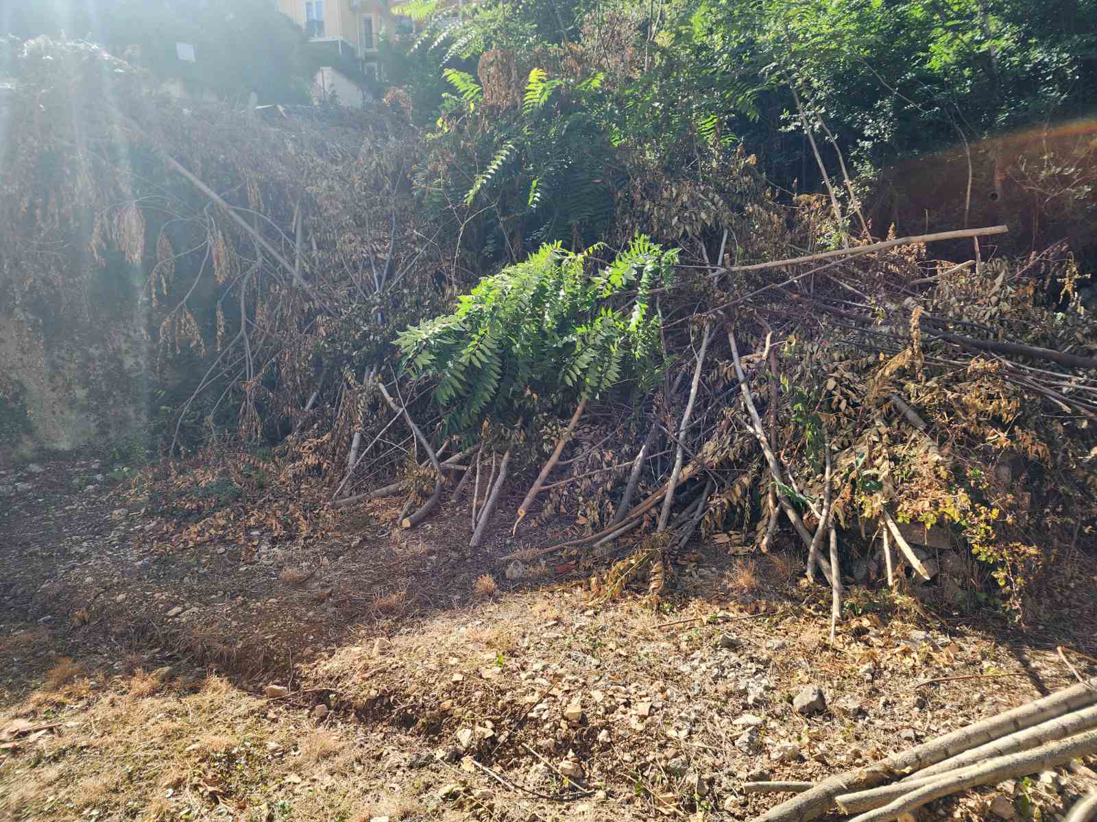 Plot Orahovac 503m2 - 18