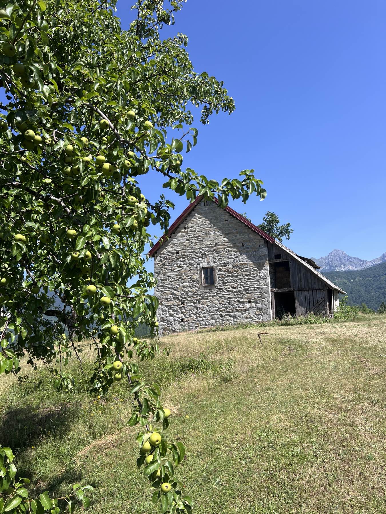 Zemljiste Kolasin 33000m2