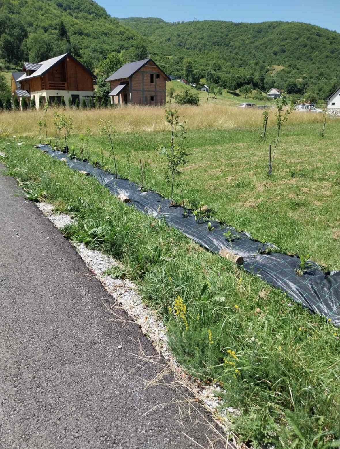 Land Kolasin 600m2 - 4