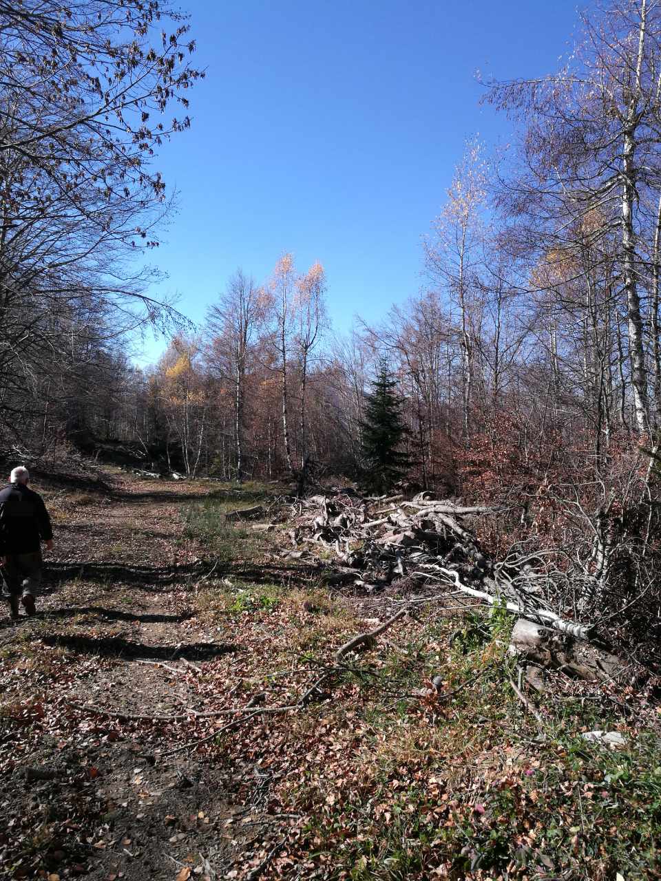 Земля Матесево 138000м2 - 14
