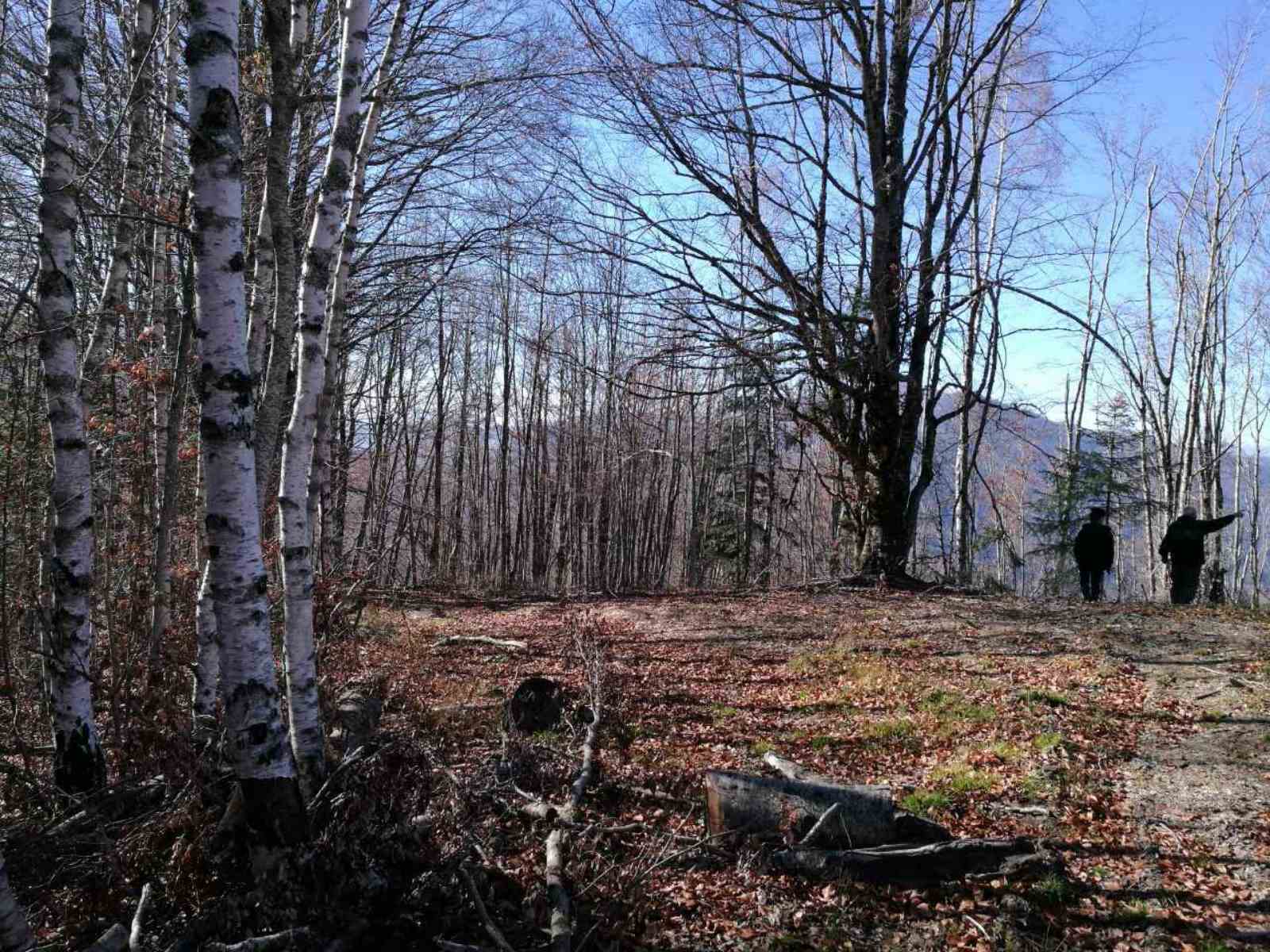 Zemljiste Matesevo 138000m2