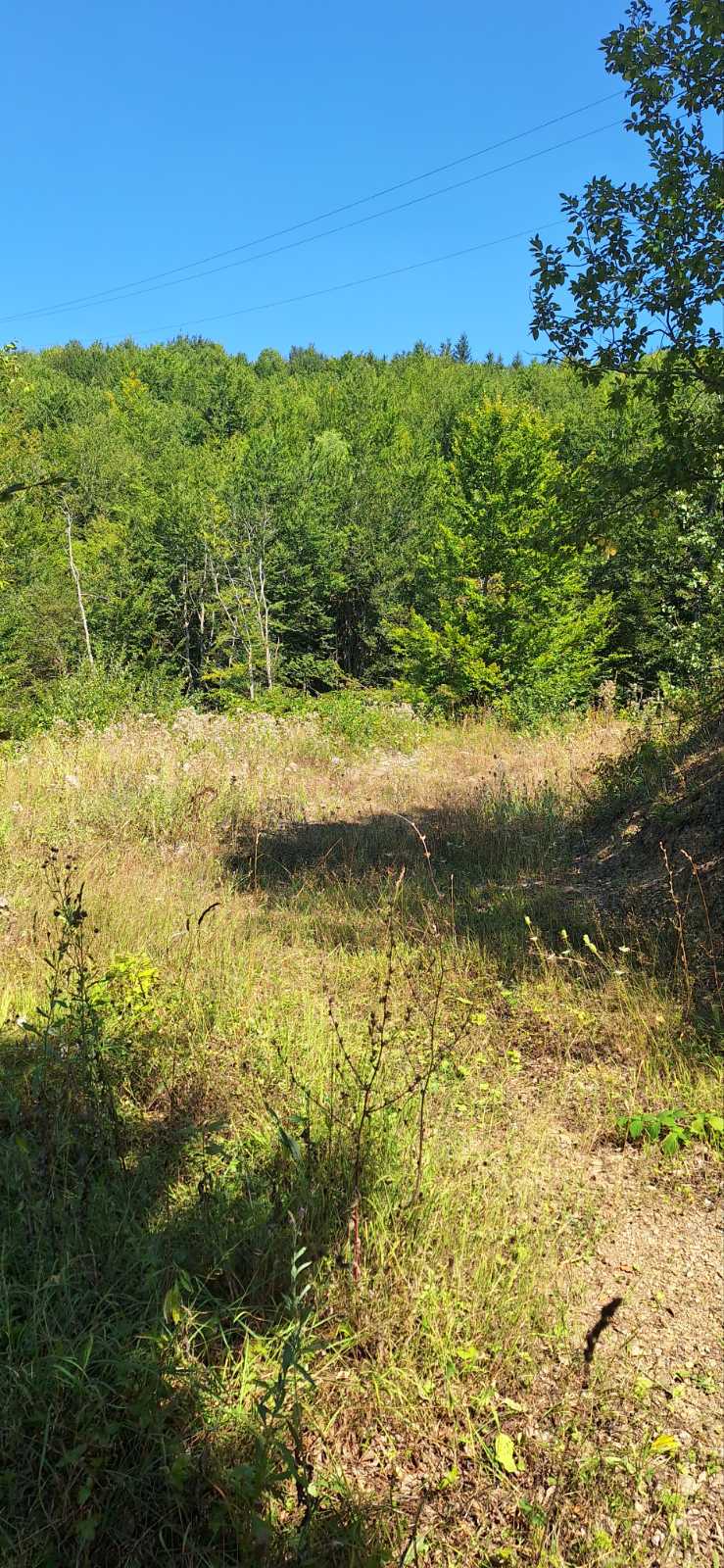 Two Plots Sljivovica 500m2 - 5