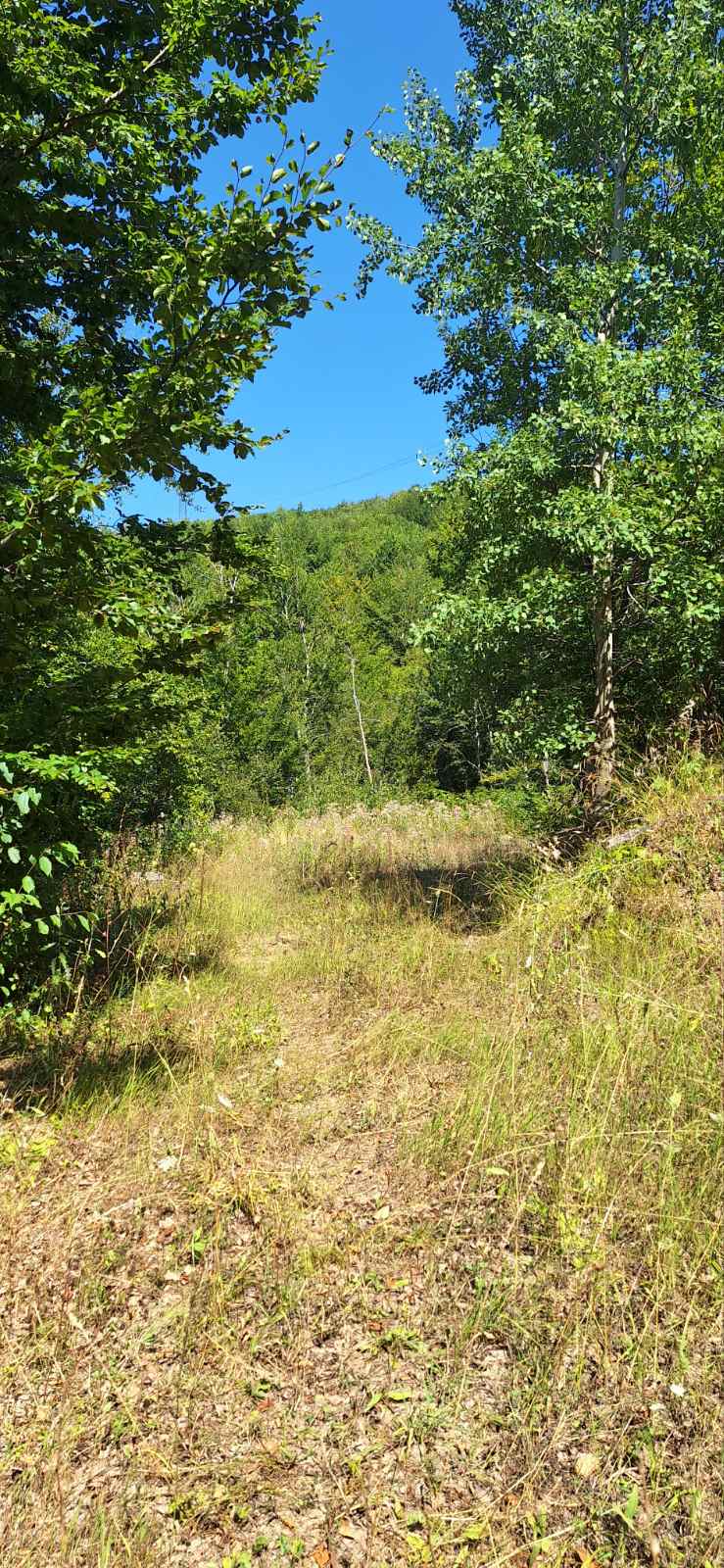 Two Plots Sljivovica 500m2 - 2