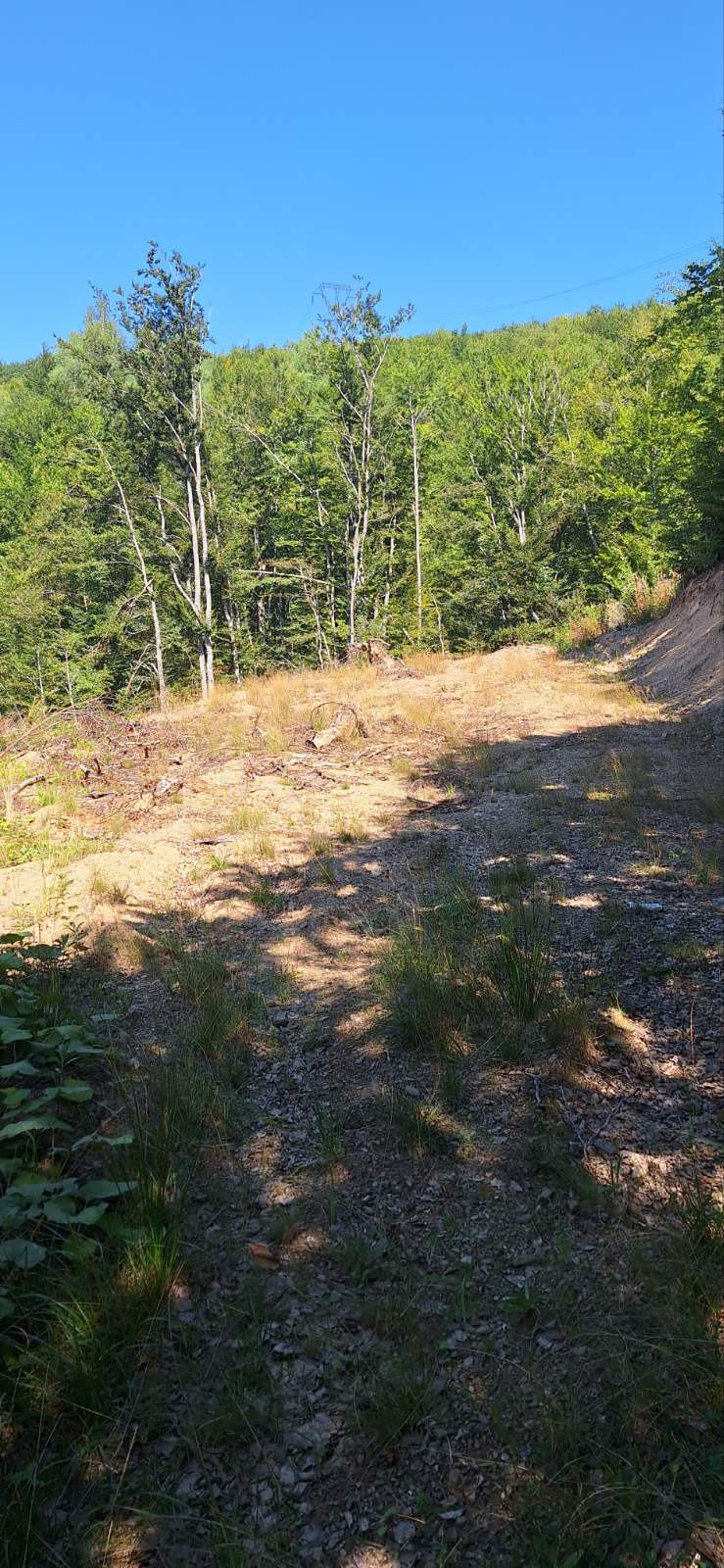 Two Plots Sljivovica 500m2 - 4