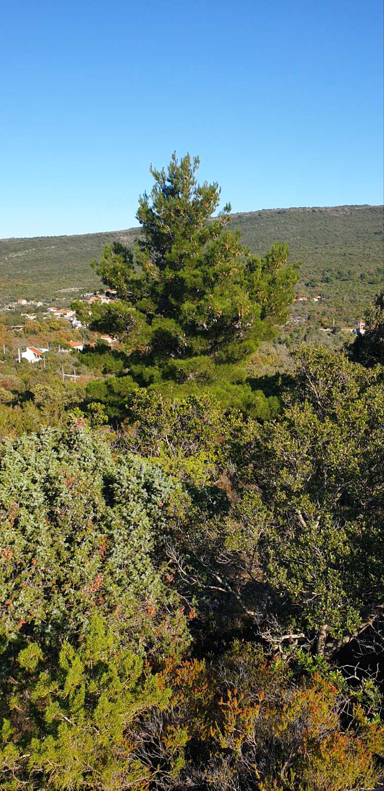 Urbanized Plot Mrkovi 4150m2 - 12