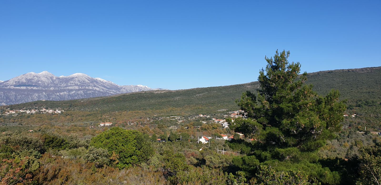 Urbanized Plot Mrkovi 4150m2 - 6