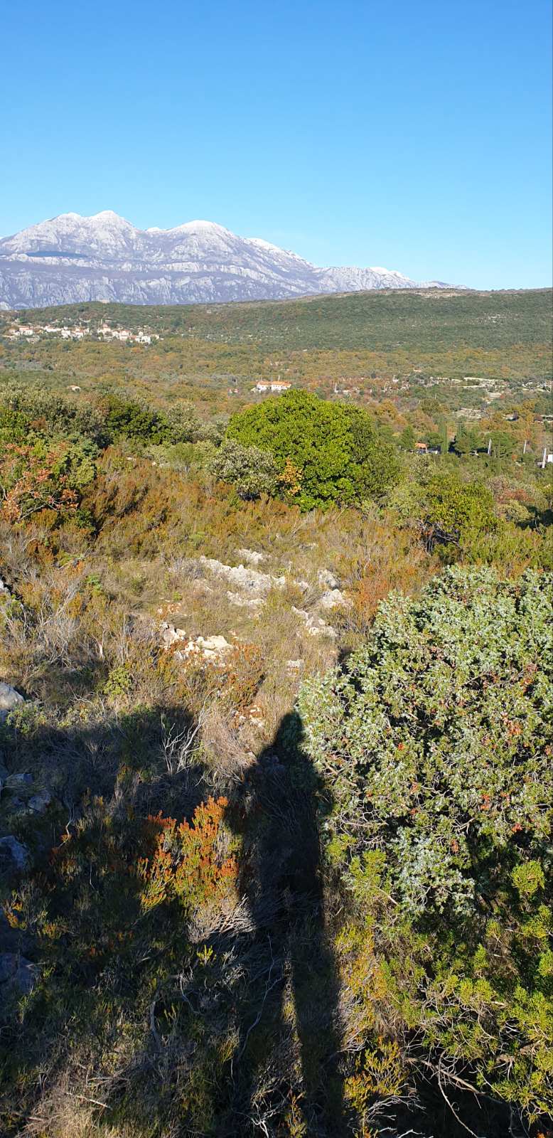 Urbanized Plot Mrkovi 4150m2 - 15