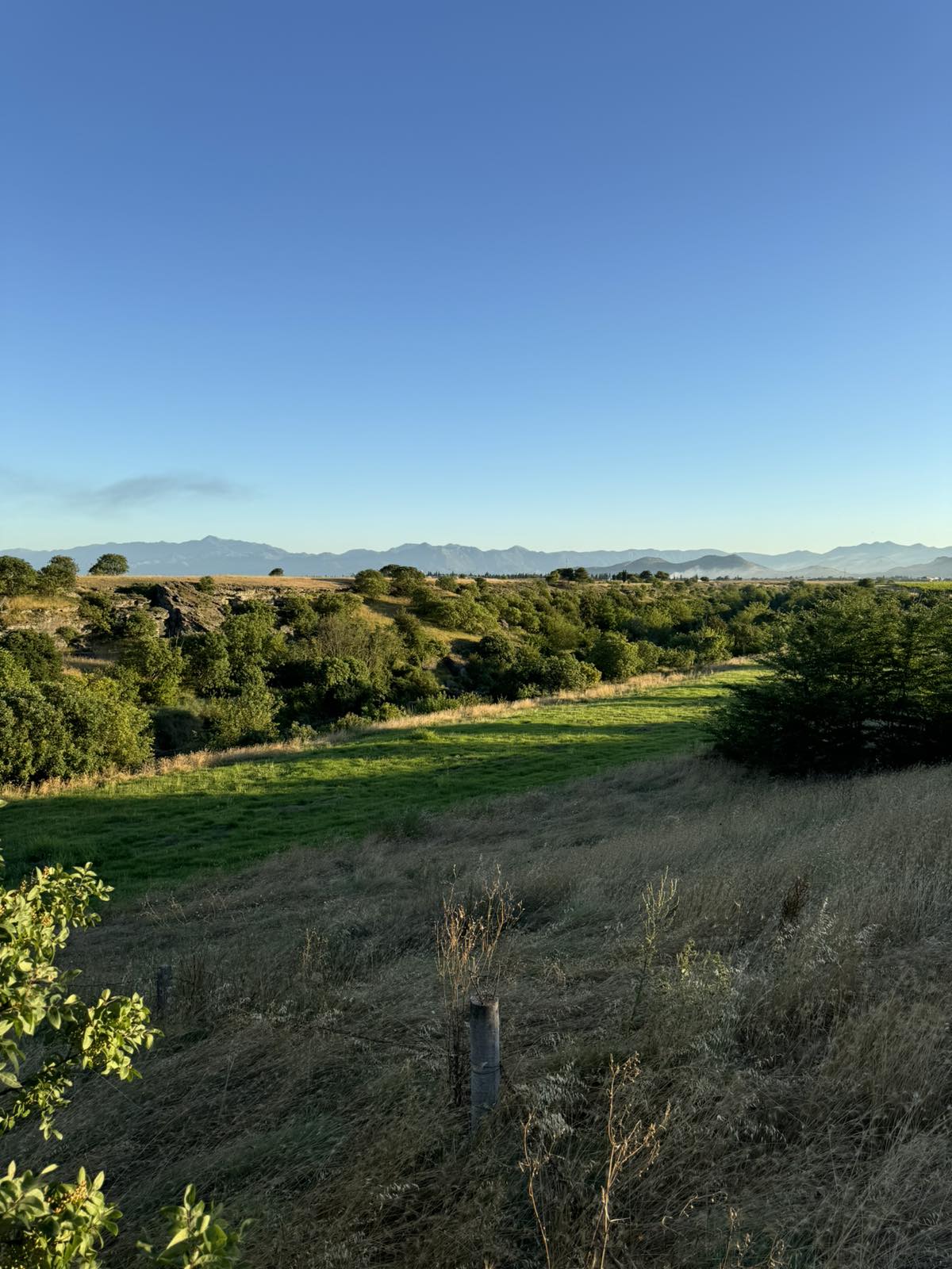 Plac Rakica Kuce 9300m2 - 4