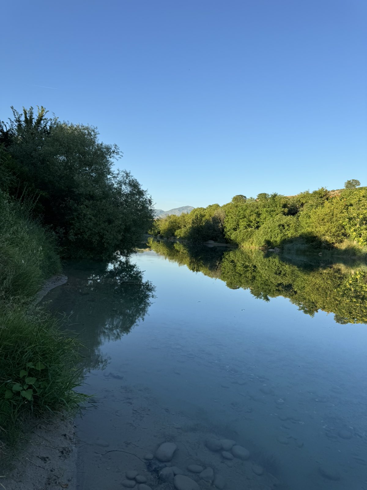 Plac Rakica Kuce 9300m2 - 3