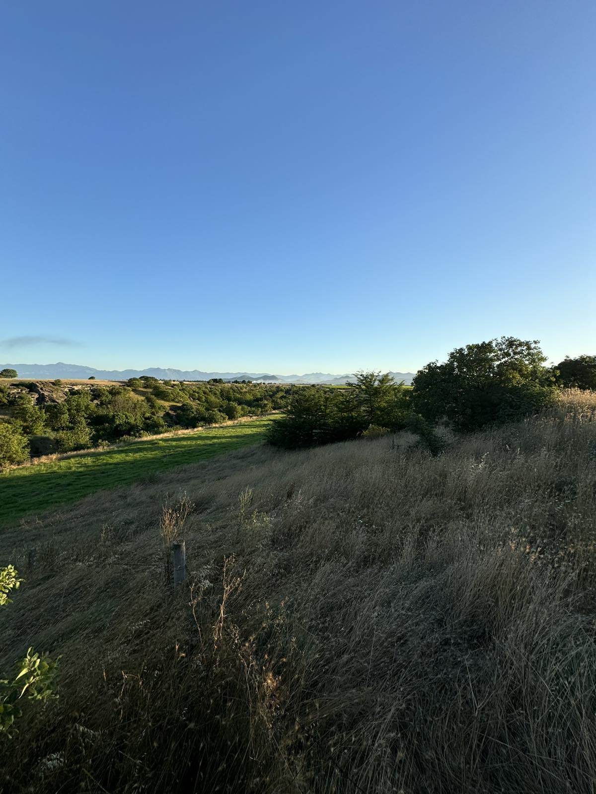 Plac Rakica Kuce 9300m2 - 5