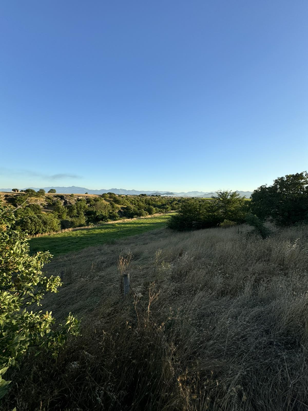 Plac Rakica Kuce 9300m2 - 7