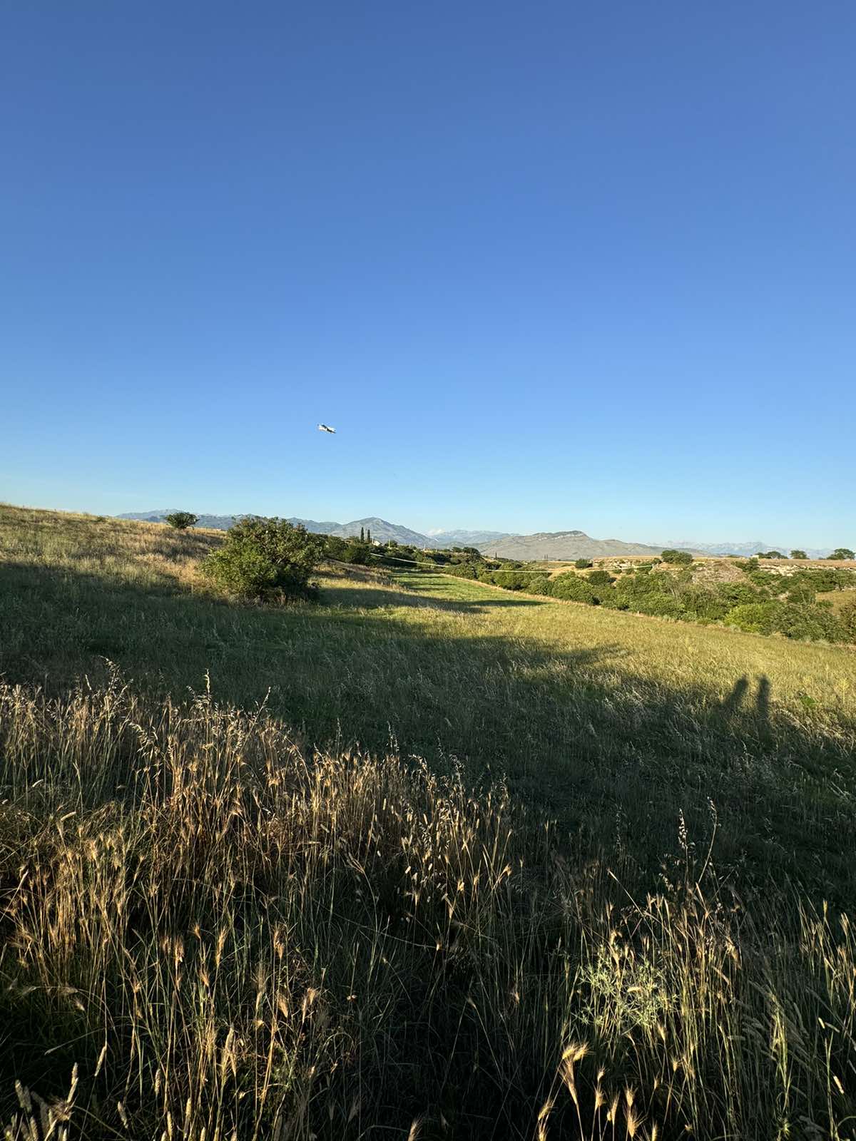 Plac Rakica Kuce 9300m2 - 12