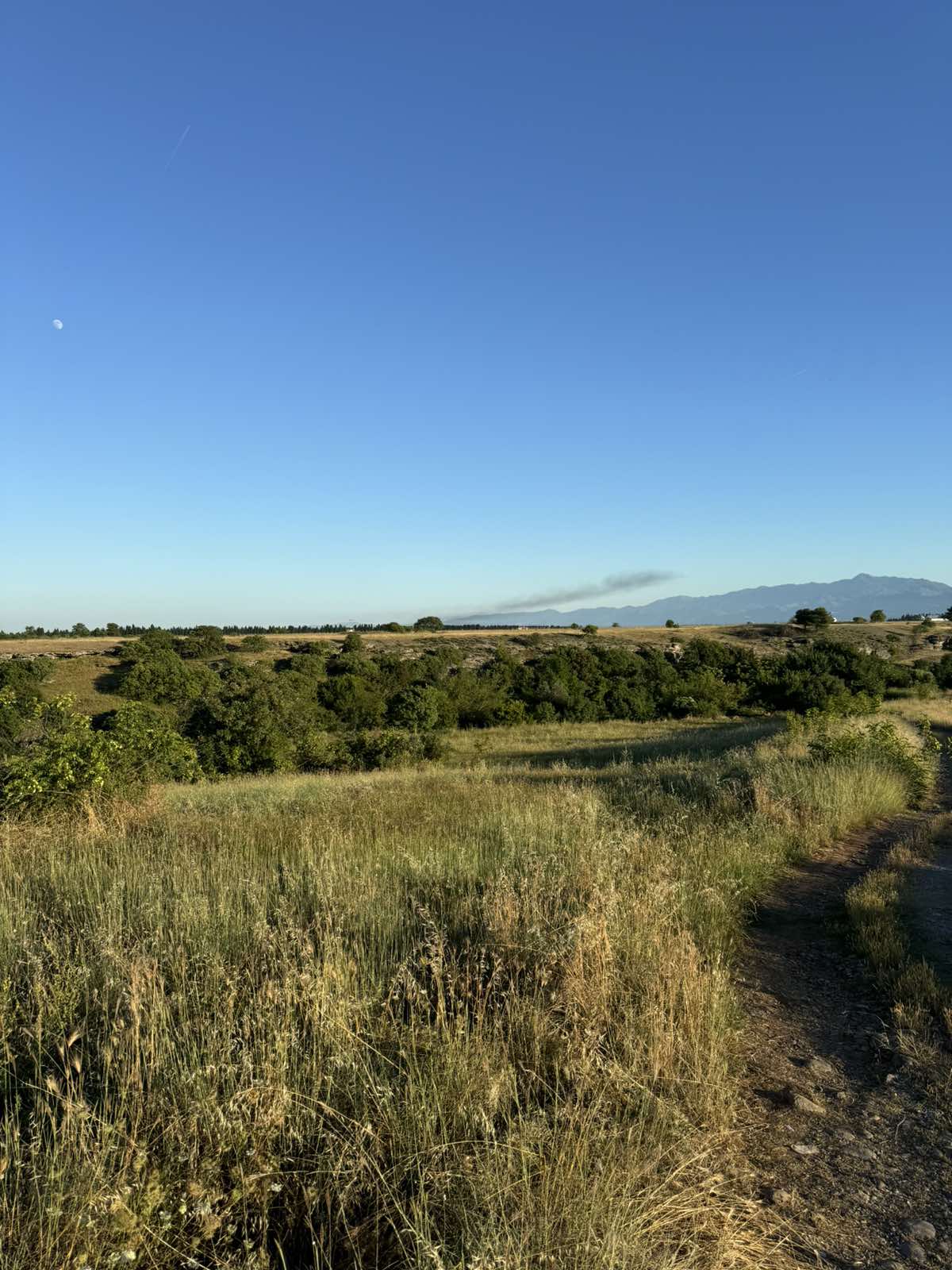 Plac Rakica Kuce 9300m2 - 11