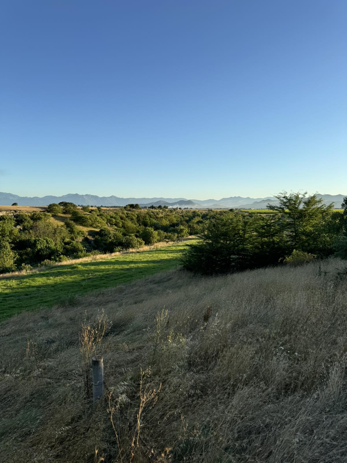 Plac Rakica Kuce 9300m2 - 6