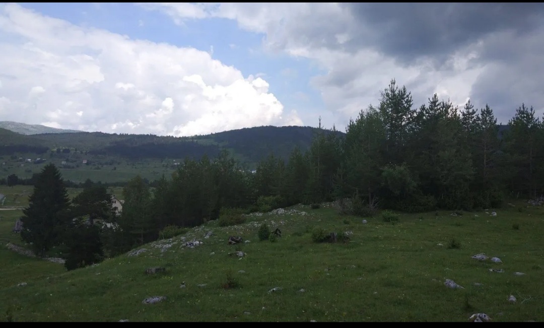 Земля Жабляк 12000м2 - 15