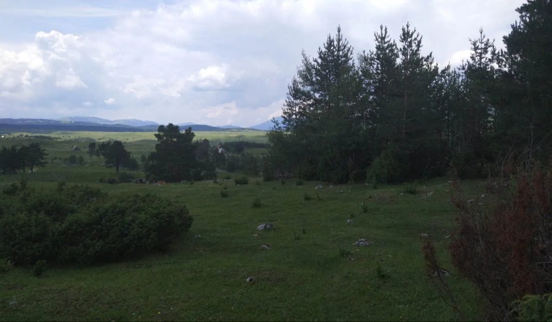 Земля Жабляк 12000м2 - 4