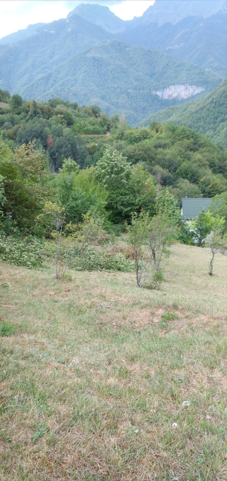 Mioska'da 45233m2'lik Arazi - 13