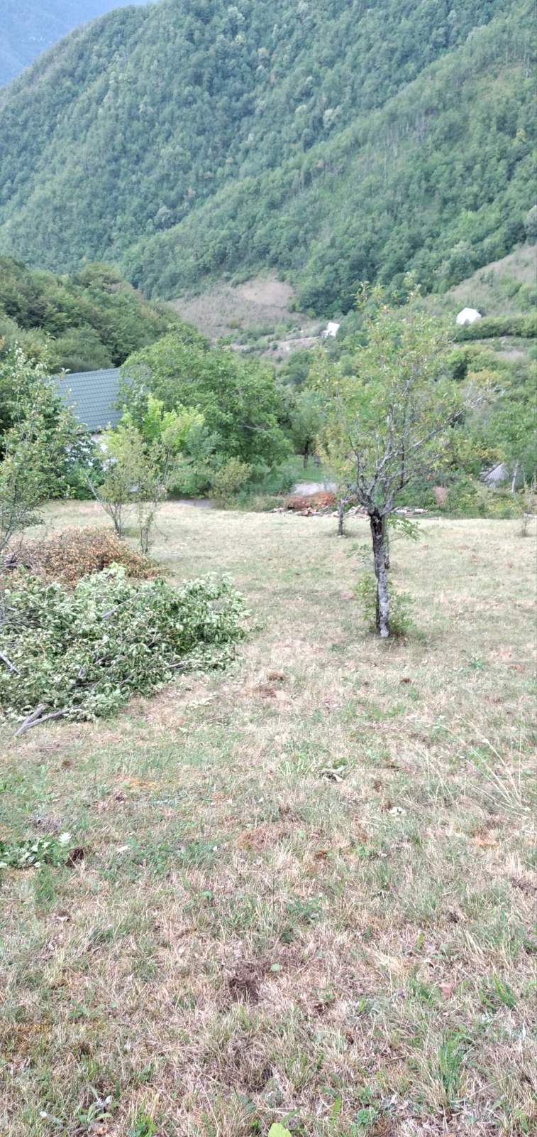 Mioska'da 45233m2'lik Arazi - 16