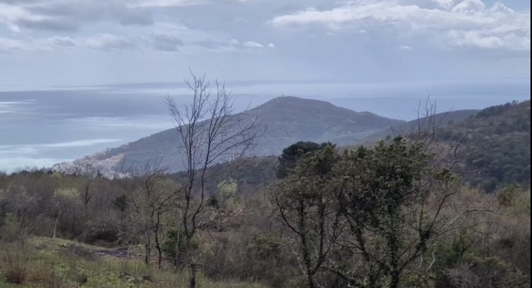 Land Pobori 5200m2 - 5