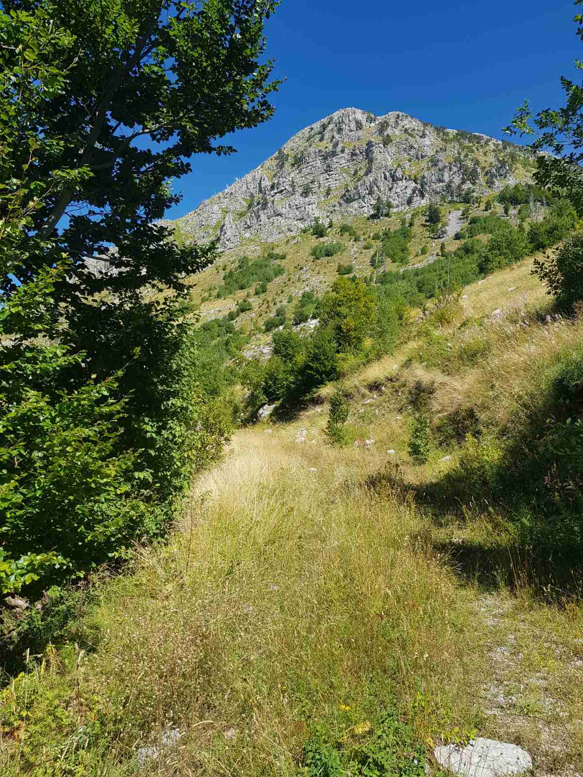 Brskut'ta 725000m2'lik Arazi - 2