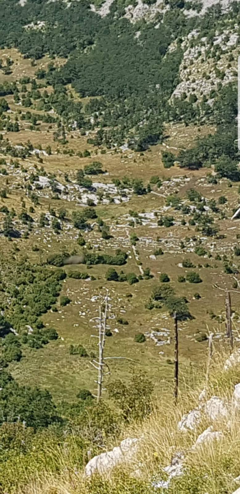 Brskut'ta 725000m2'lik Arazi - 5