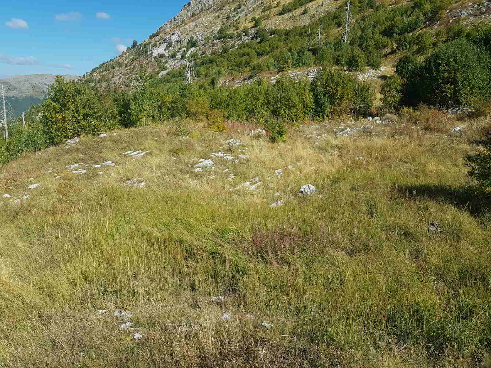 Brskut'ta 725000m2'lik Arazi - 6