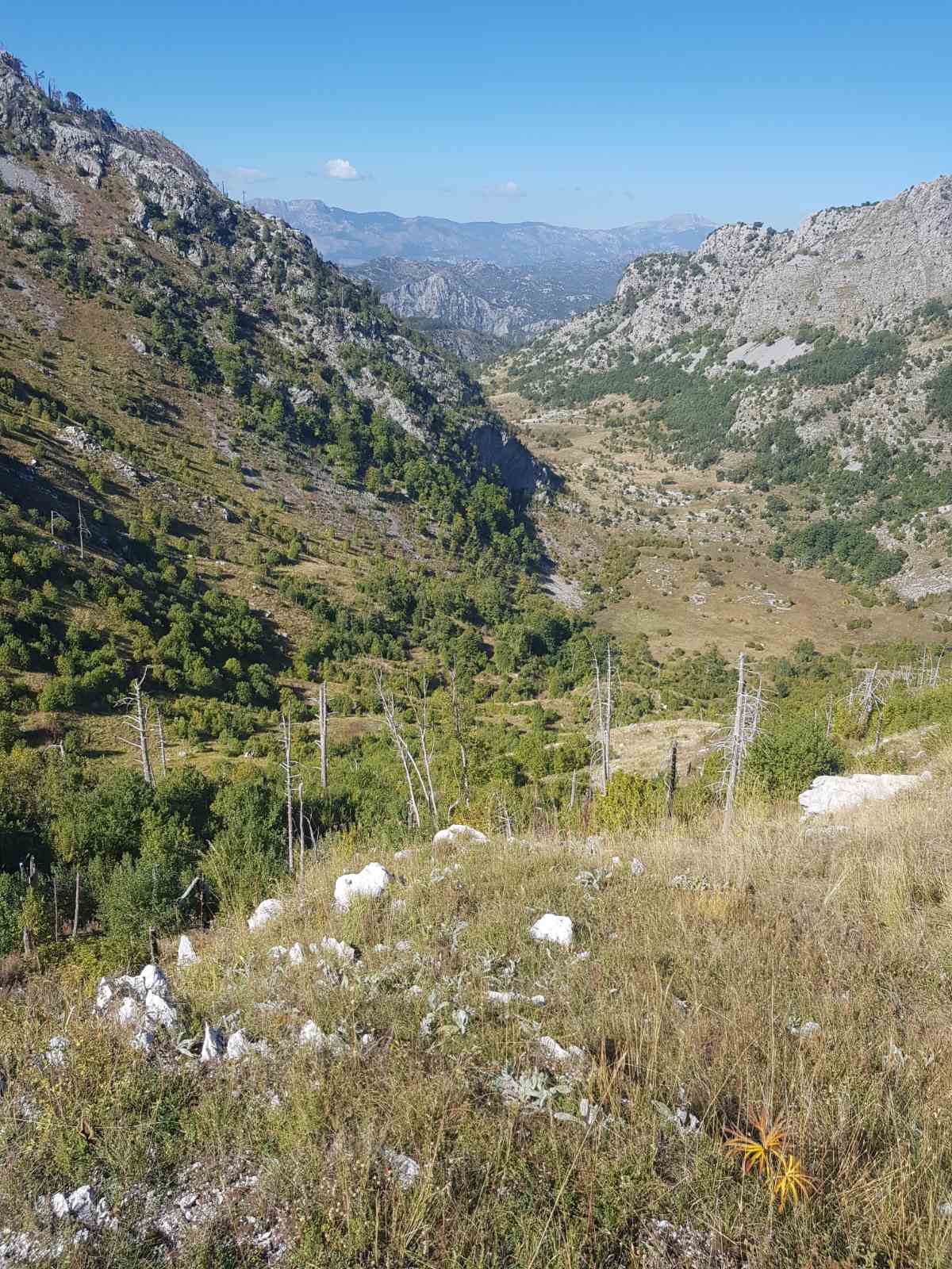 Brskut'ta 725000m2'lik Arazi - 7