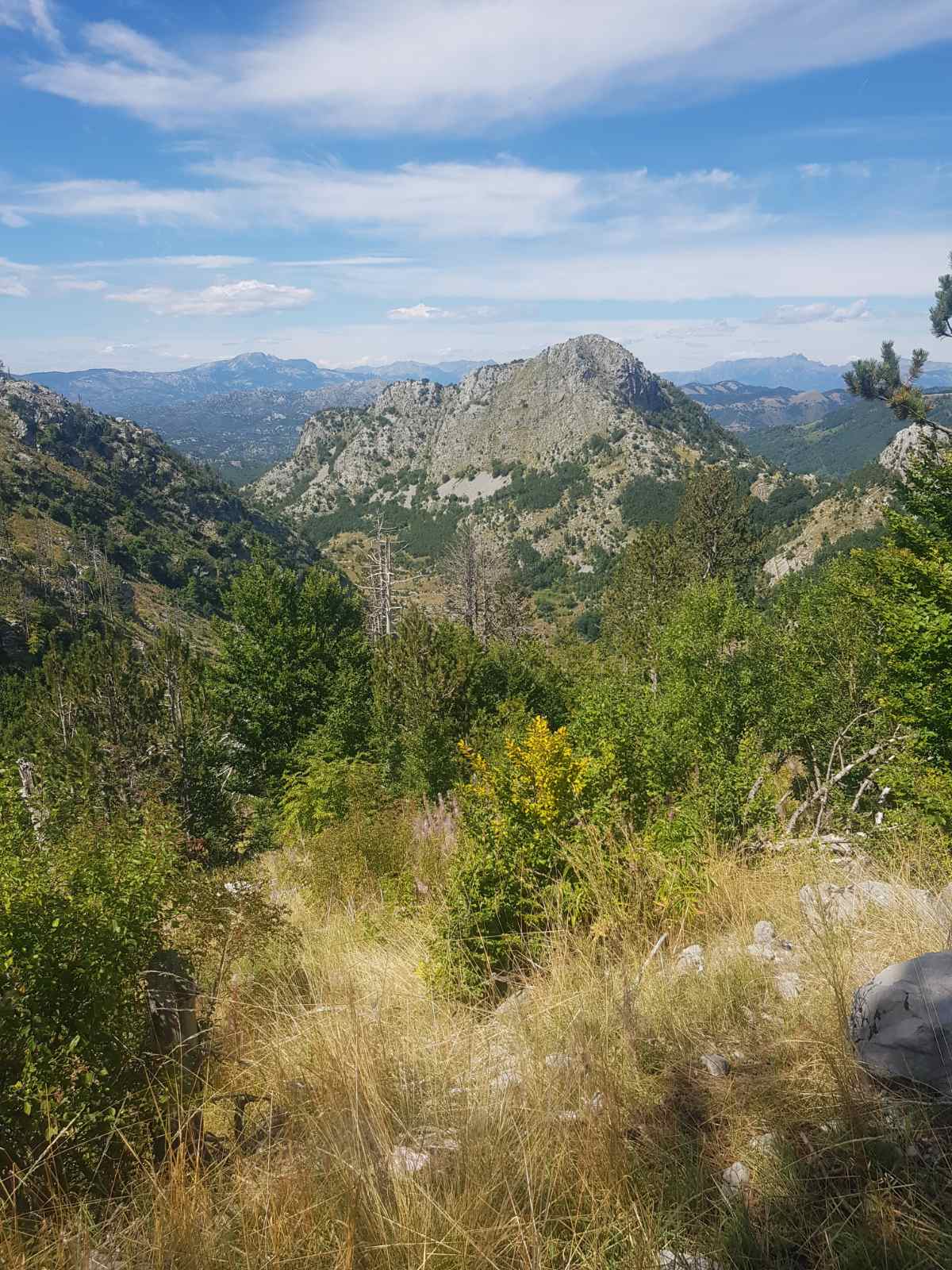 Brskut'ta 725000m2'lik Arazi - 3