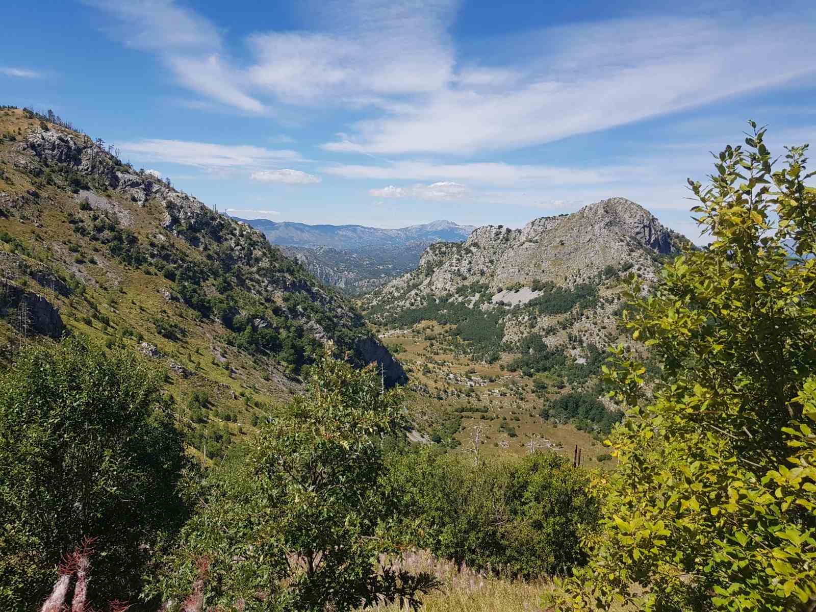 Brskut'ta 725000m2'lik Arazi