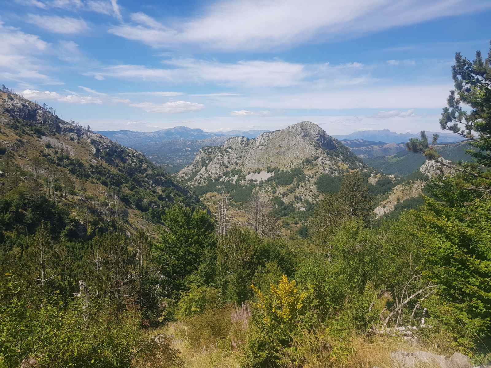 Brskut'ta 725000m2'lik Arazi - 8