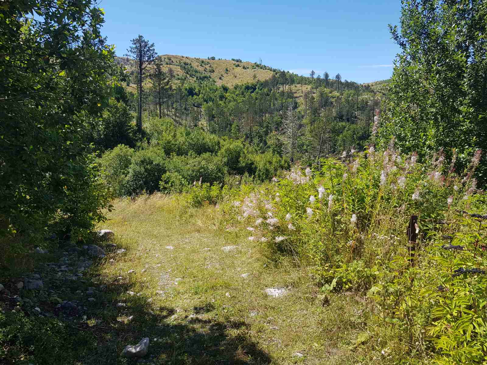 Brskut'ta 725000m2'lik Arazi - 9