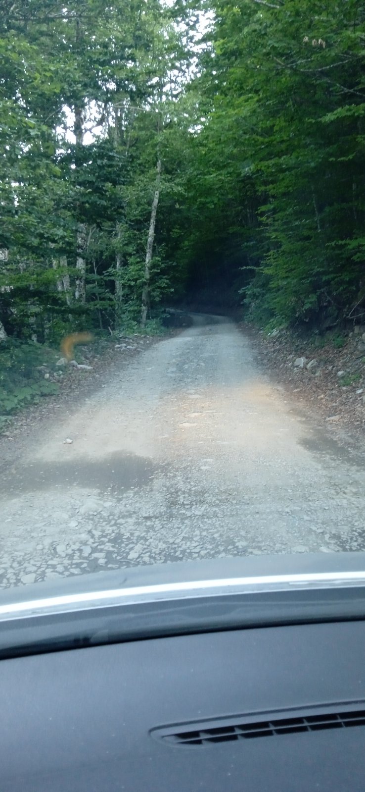 Zemljiste Opasanica 150000m2 - 3