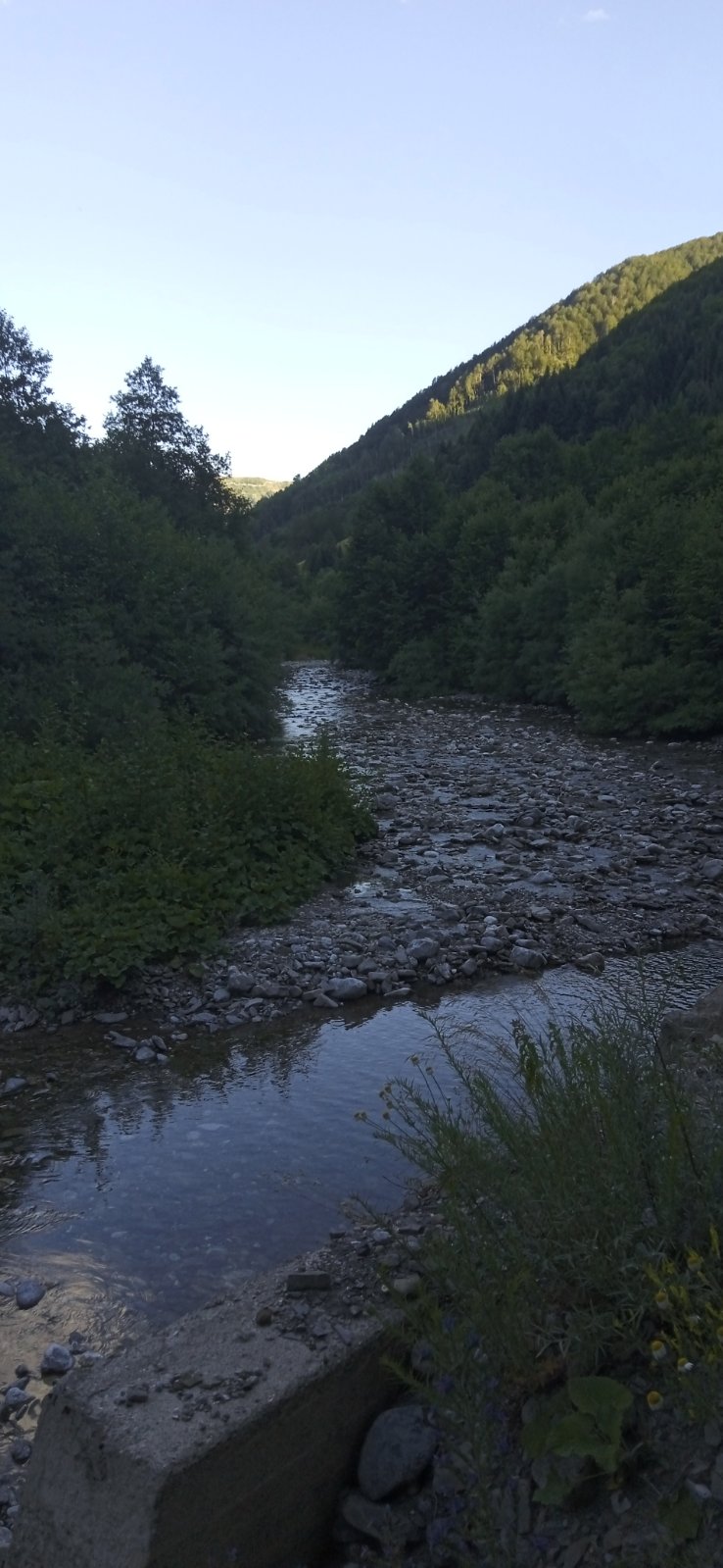 Zemljiste Opasanica 150000m2 - 4