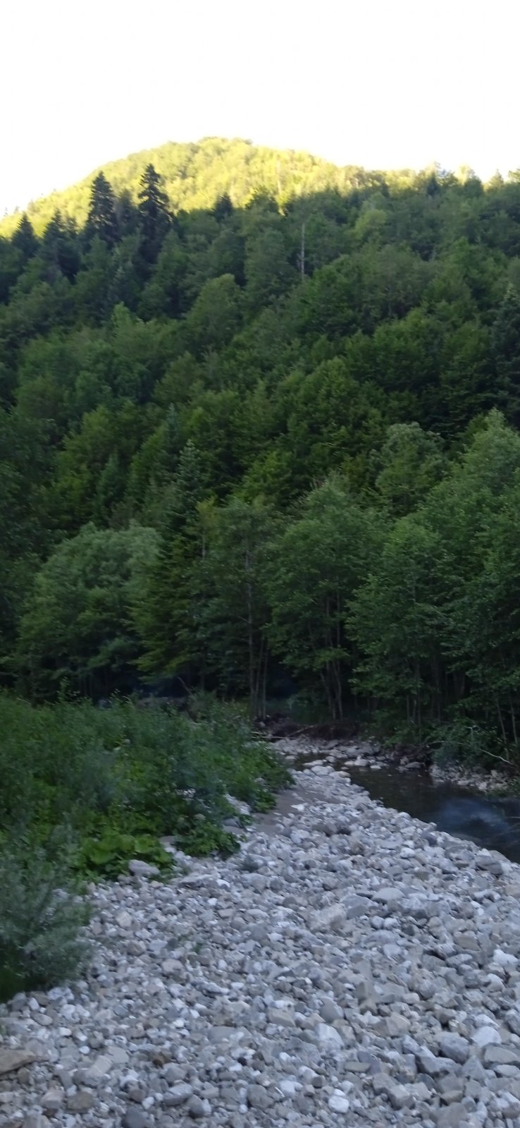 Zemljiste Opasanica 150000m2 - 5