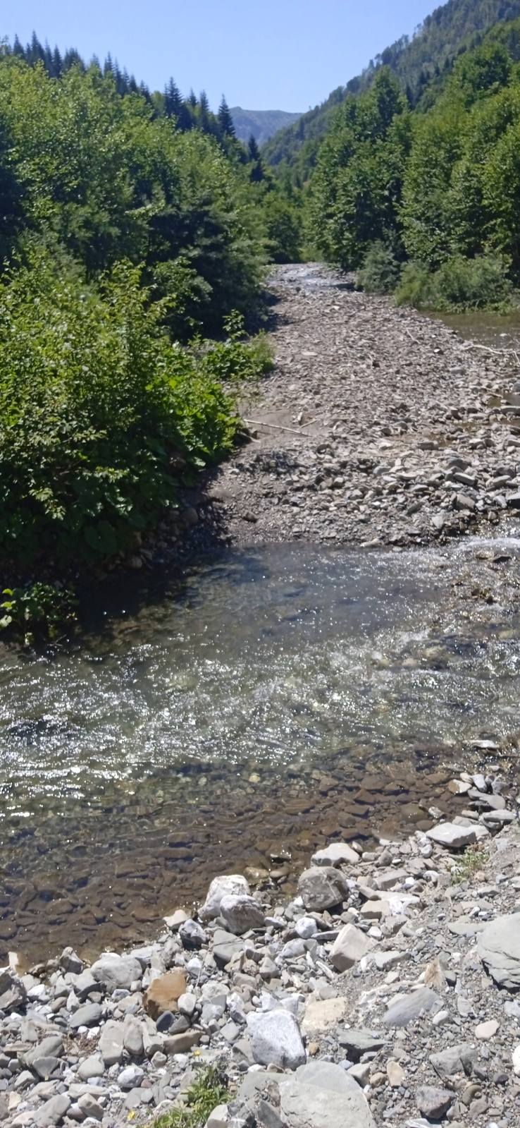 Zemljiste Opasanica 150000m2 - 6