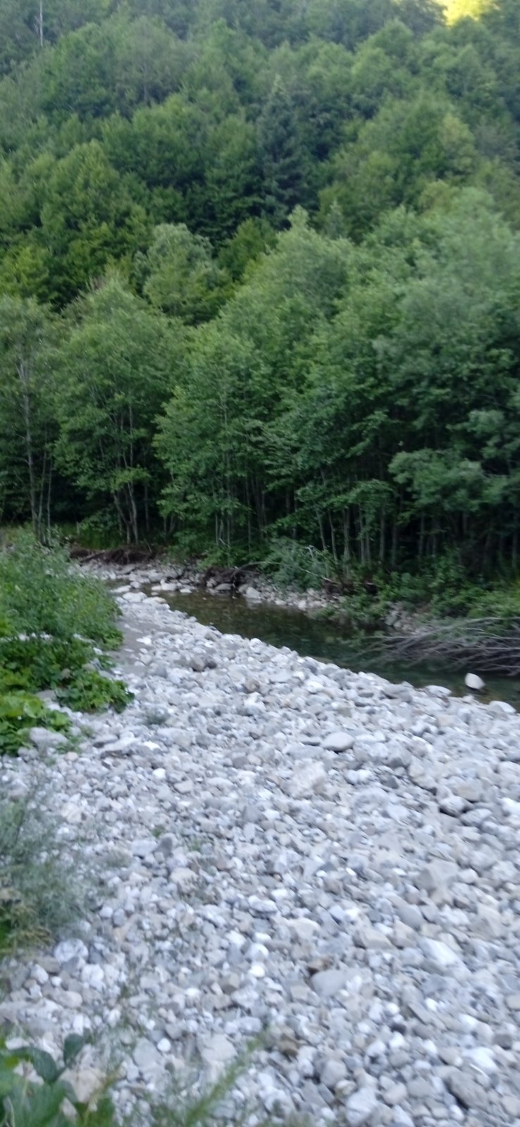 Zemljiste Opasanica 150000m2 - 7