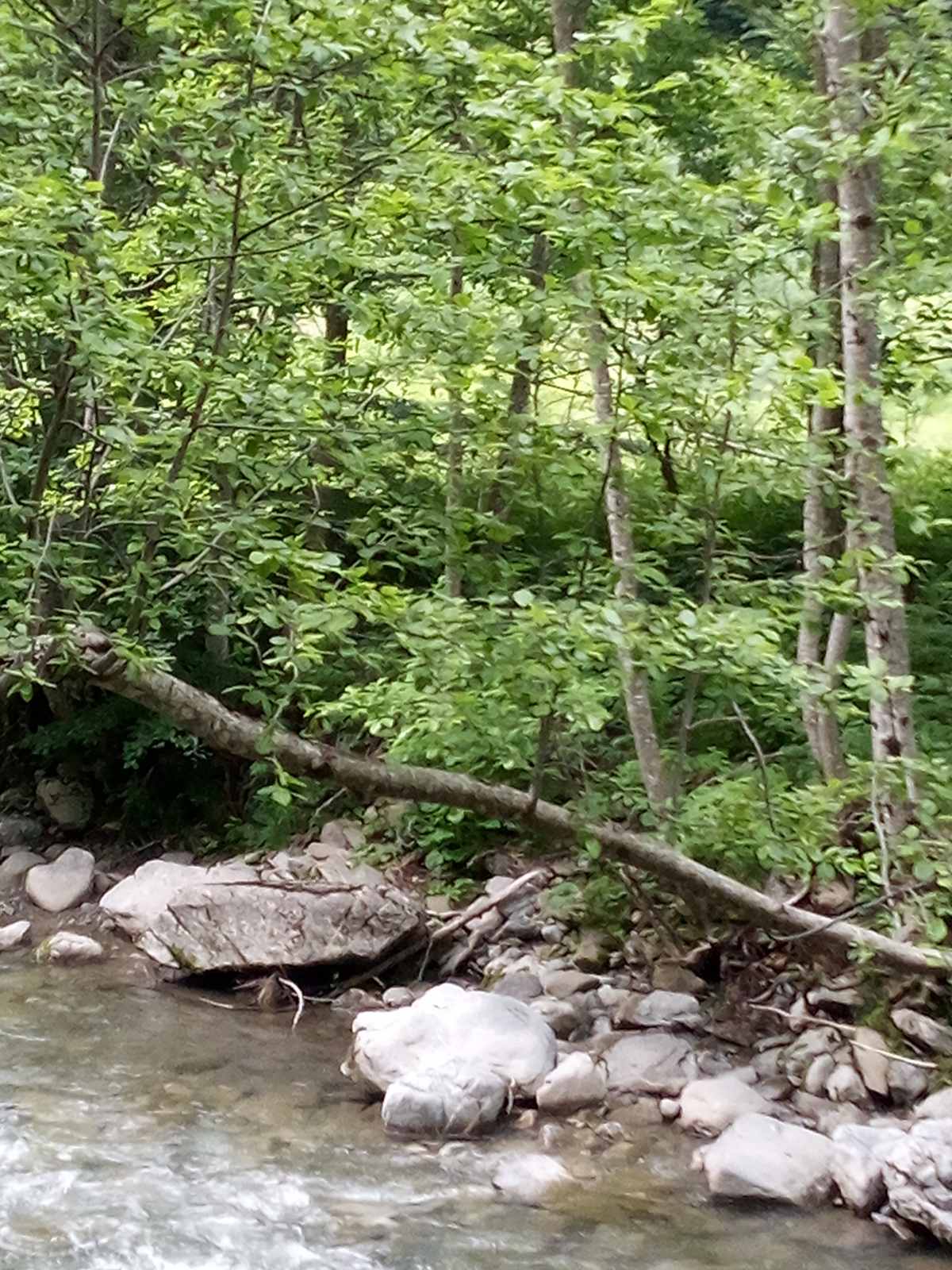 Zemljiste Opasanica 150000m2