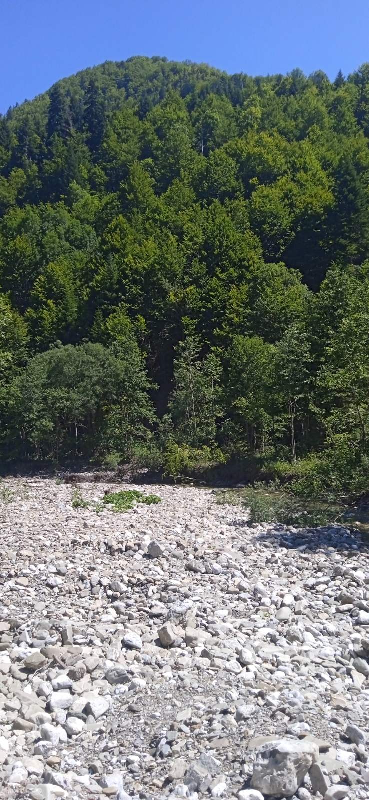 Zemljiste Opasanica 150000m2 - 8