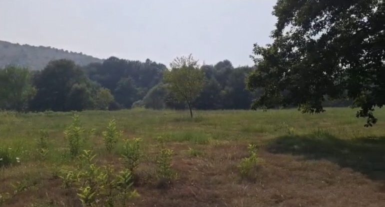 Zemljiste Pričelje 11471m2 - 2