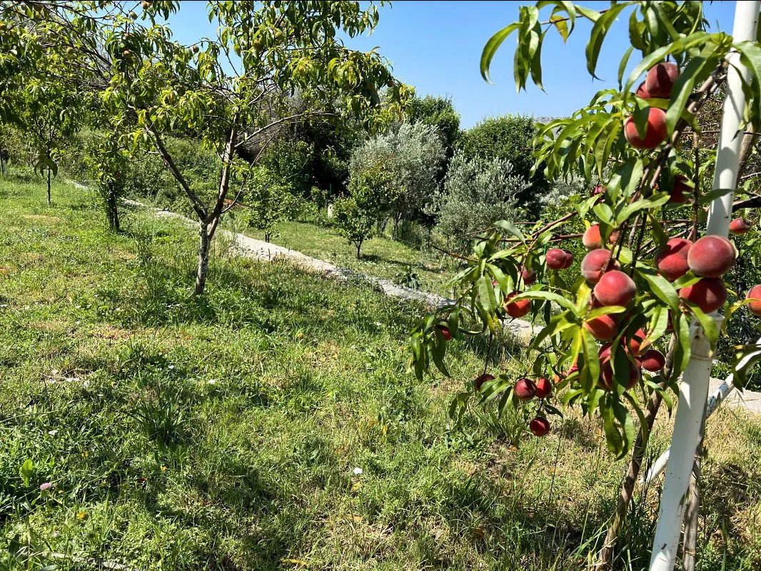 Tomba'da 170m2'lik Ev - 4