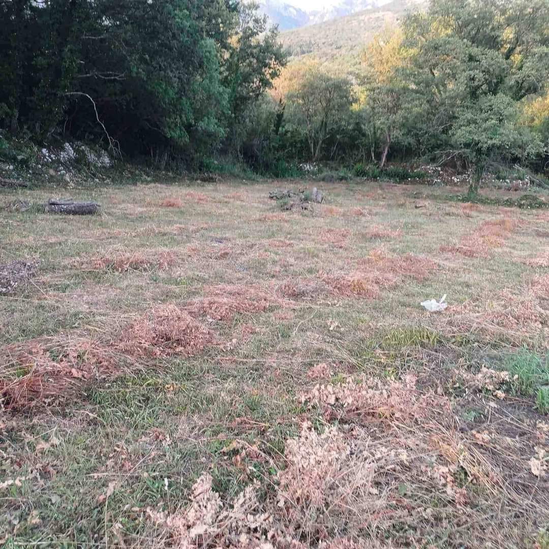 Urbanized Plot Radanovici 10300m2 - 3