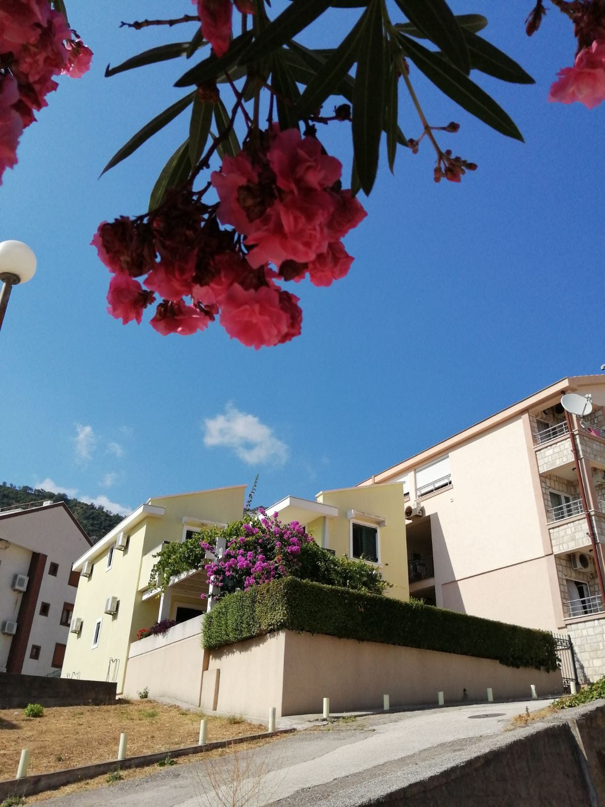 House Petrovac 181m1