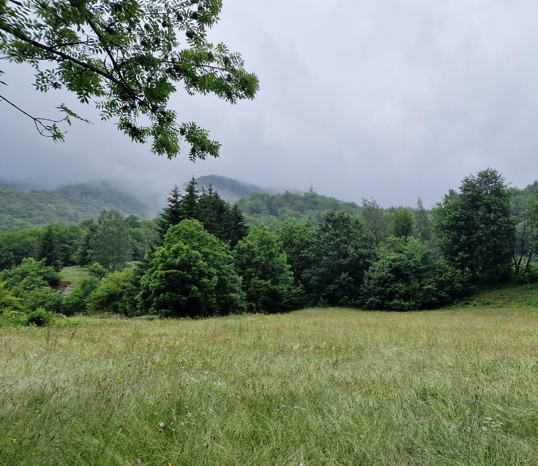 Urbanized Land Moracko Trebaljevo 15100m2 - 21
