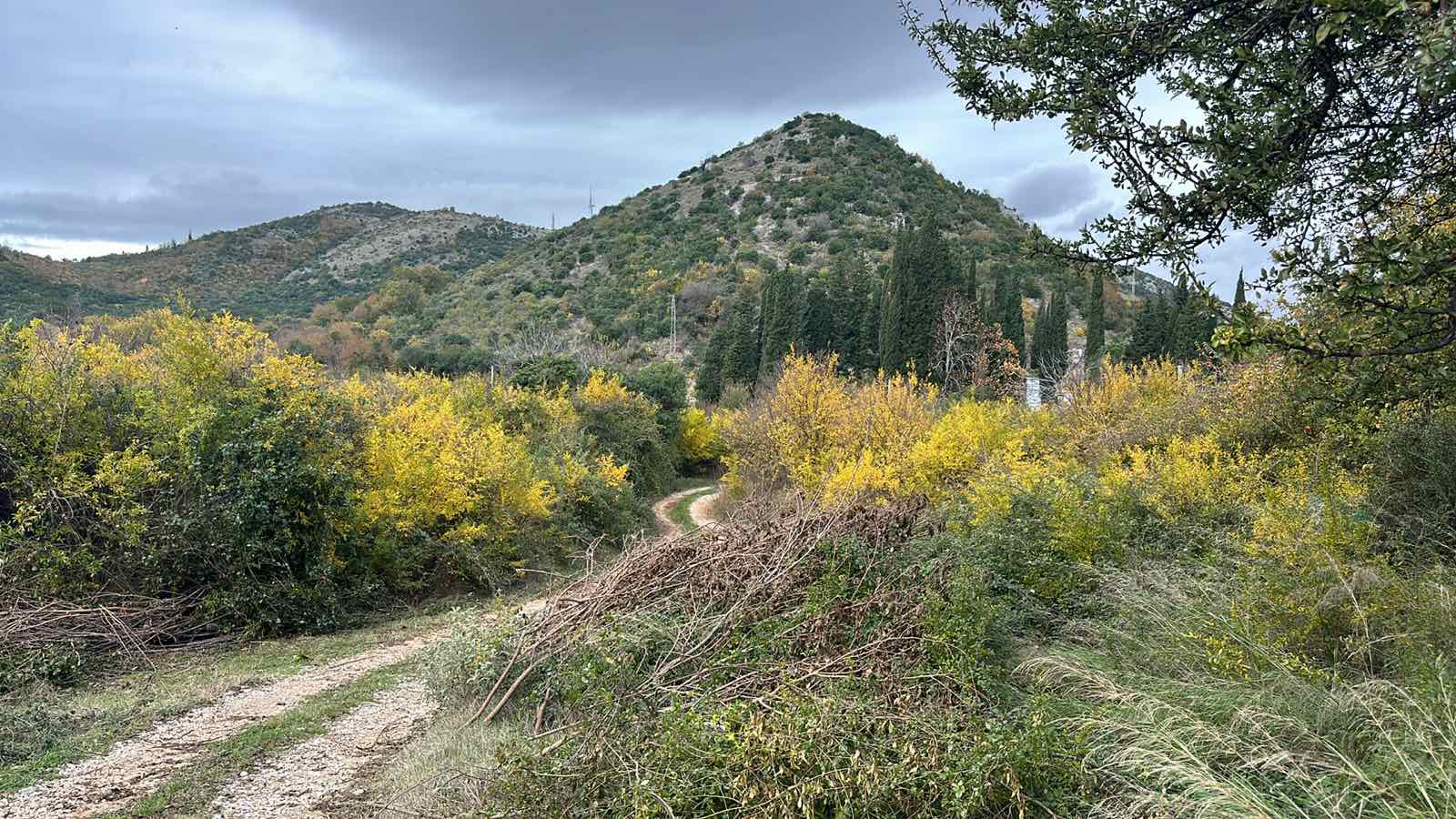 Land Zoganje 17926m2