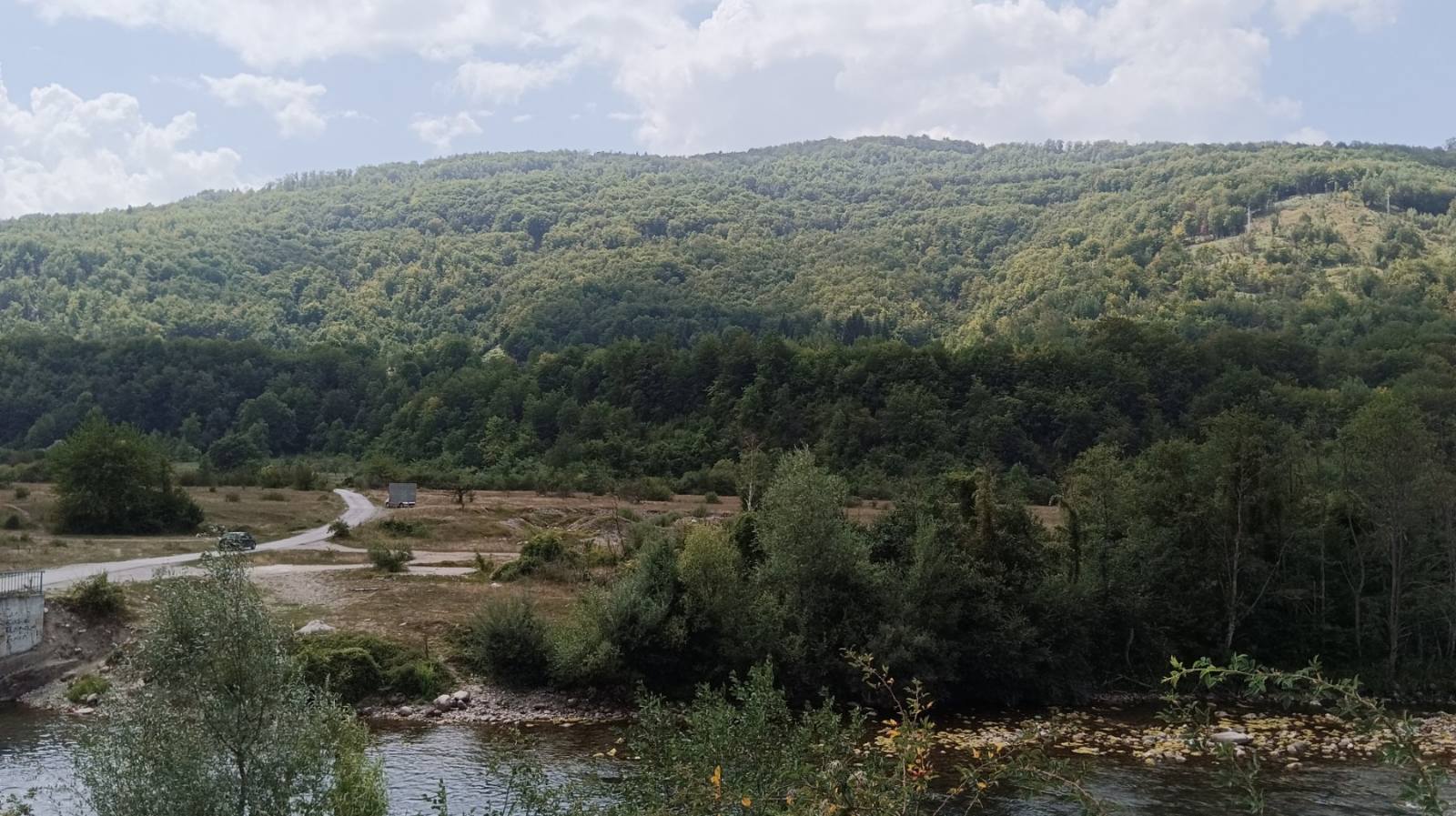 Land Brezojevice 11661m2 - 2
