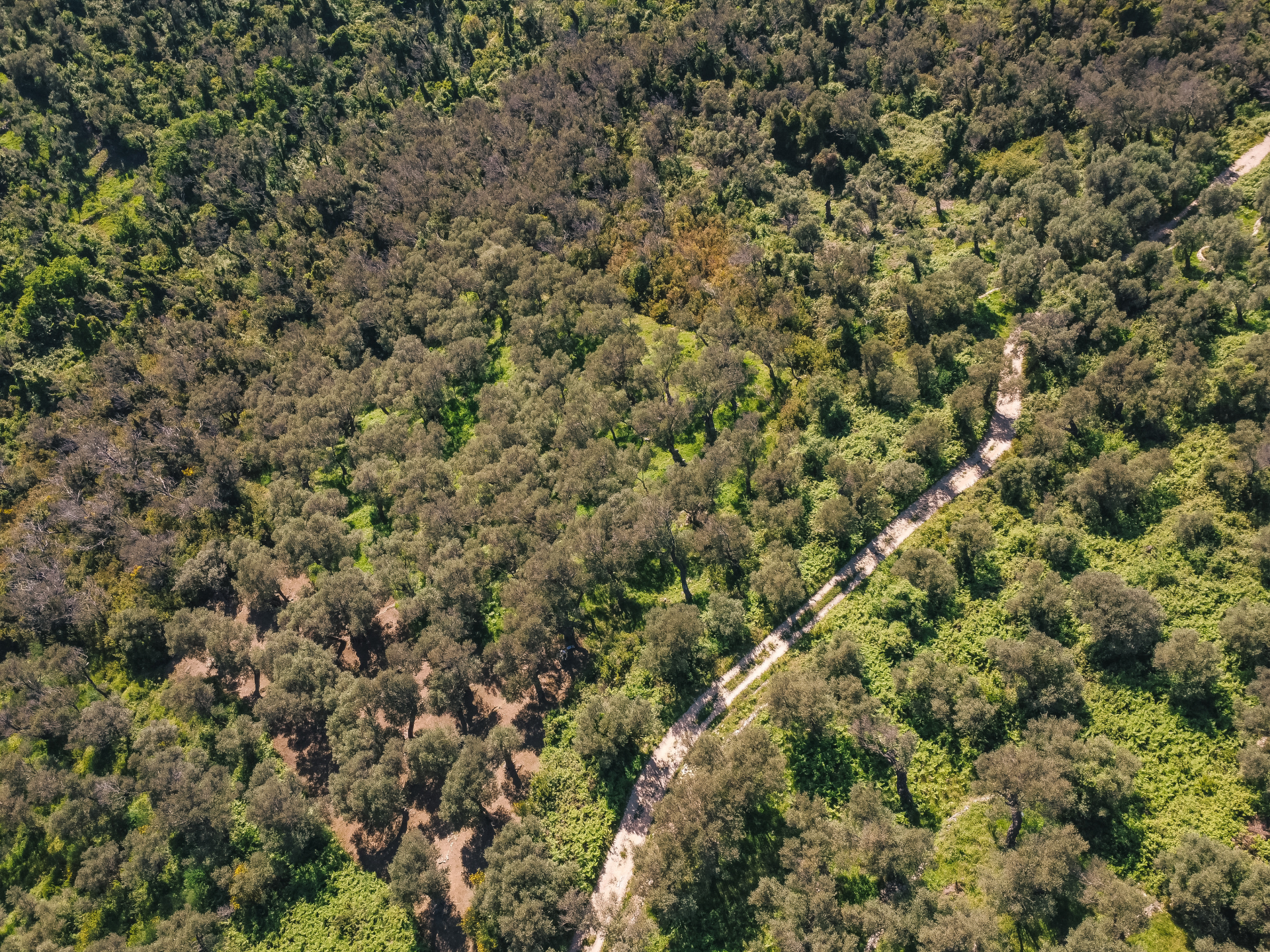 Land Ulcinj 3030m2 - 5