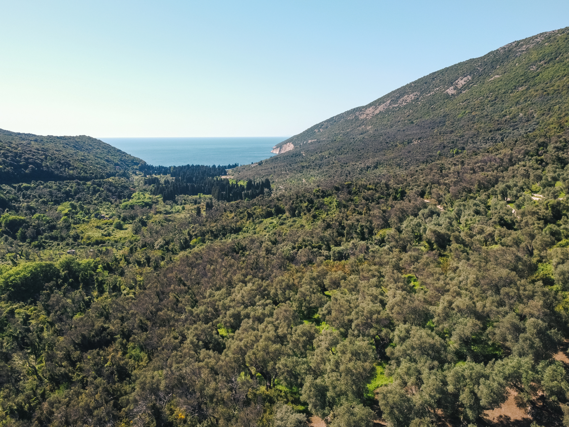 Land Ulcinj 3030m2 - 15